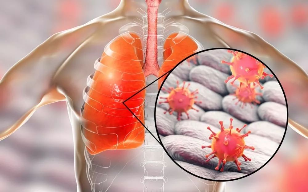 关于风云突变浙江稠州转会期完成体检，德国杯版图或变，引发热议，医务组通报恢复的信息-开云APP