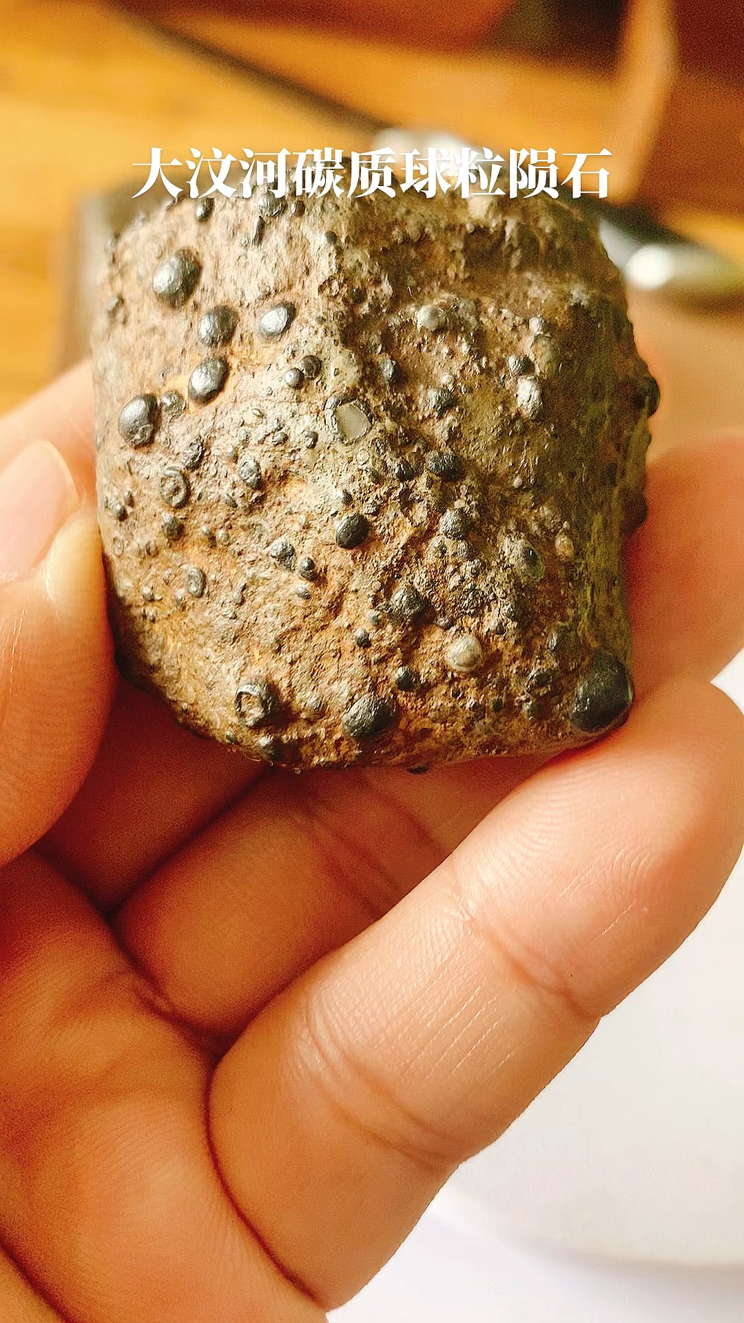 頻>XV陨(bib视频下载)