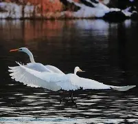 R淋S9铔搹_?櫻崃?JO2鈎z'溼!蚒-开云